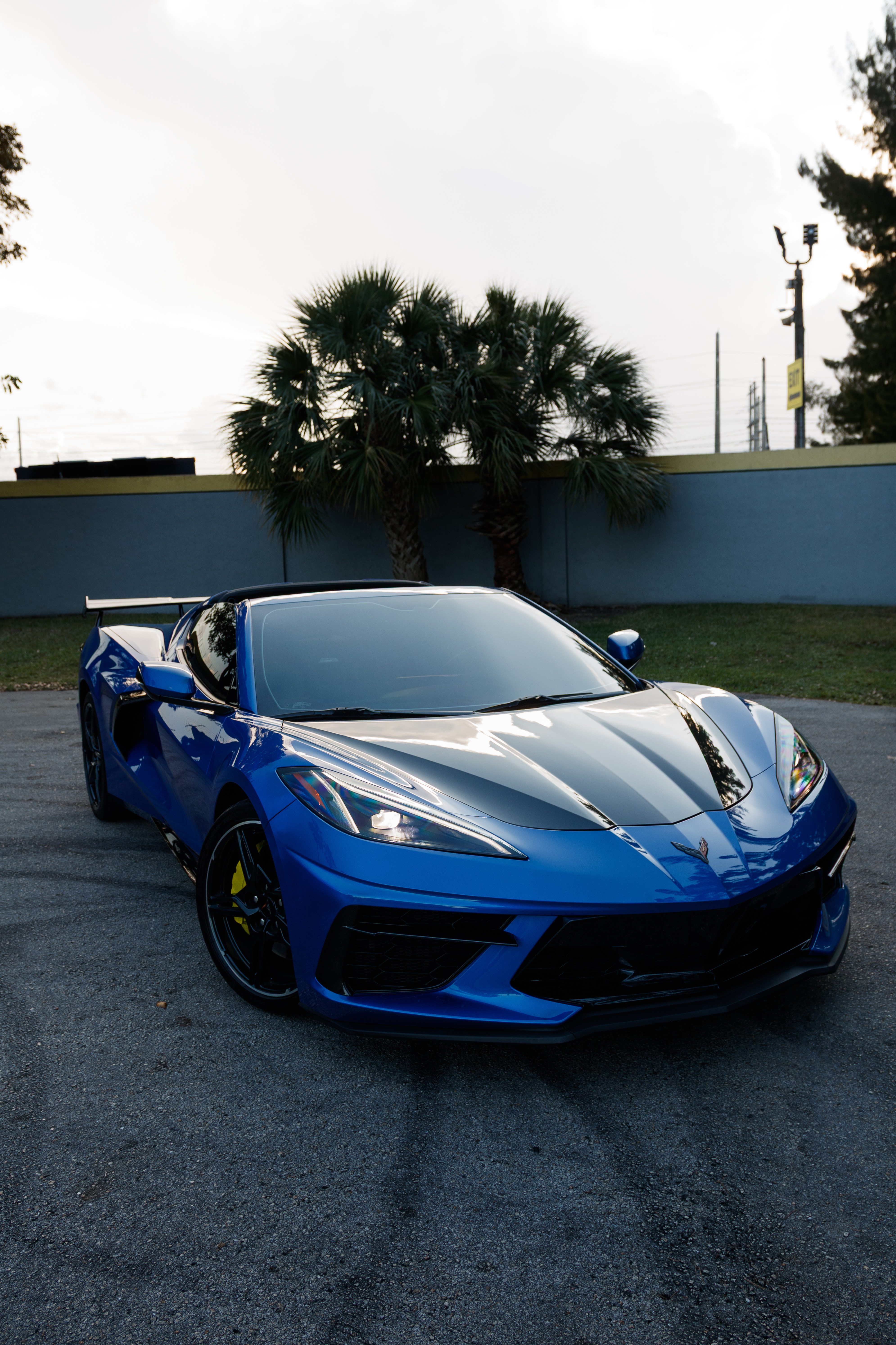 Blue Corvette C8 Stingray